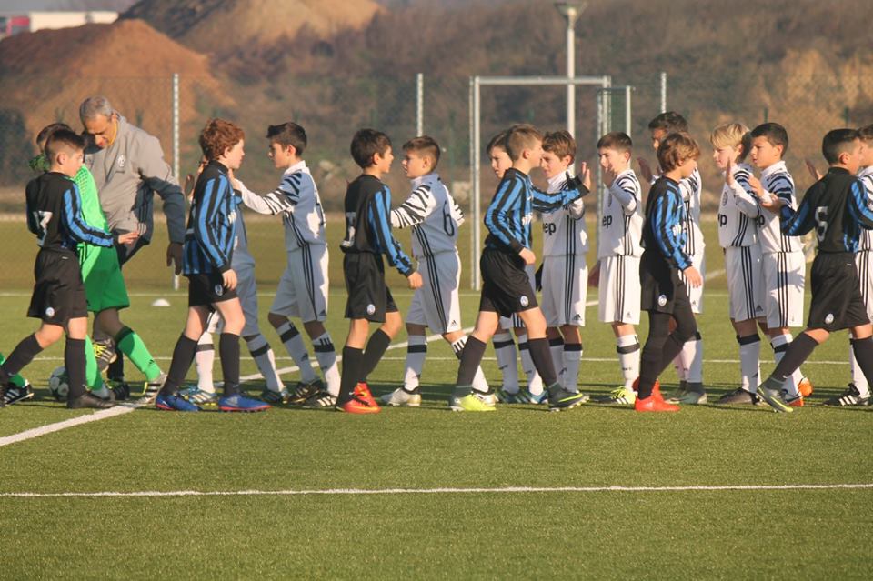 Pulcini 2006