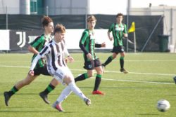 Davide Di Francesco, Juventus Giovanili