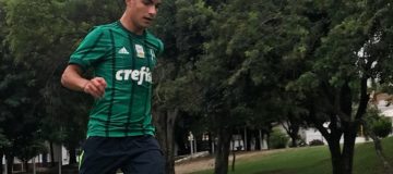 Lucas Rosa Palmeiras, Juventus