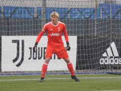 Alessandro Busti, Juventus Primavera