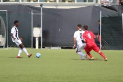 Under17, Juventus-Carpi