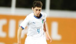 Diego Ripani, Juventus giovanili