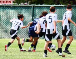 Juventus Under14 cessioni classe 2011